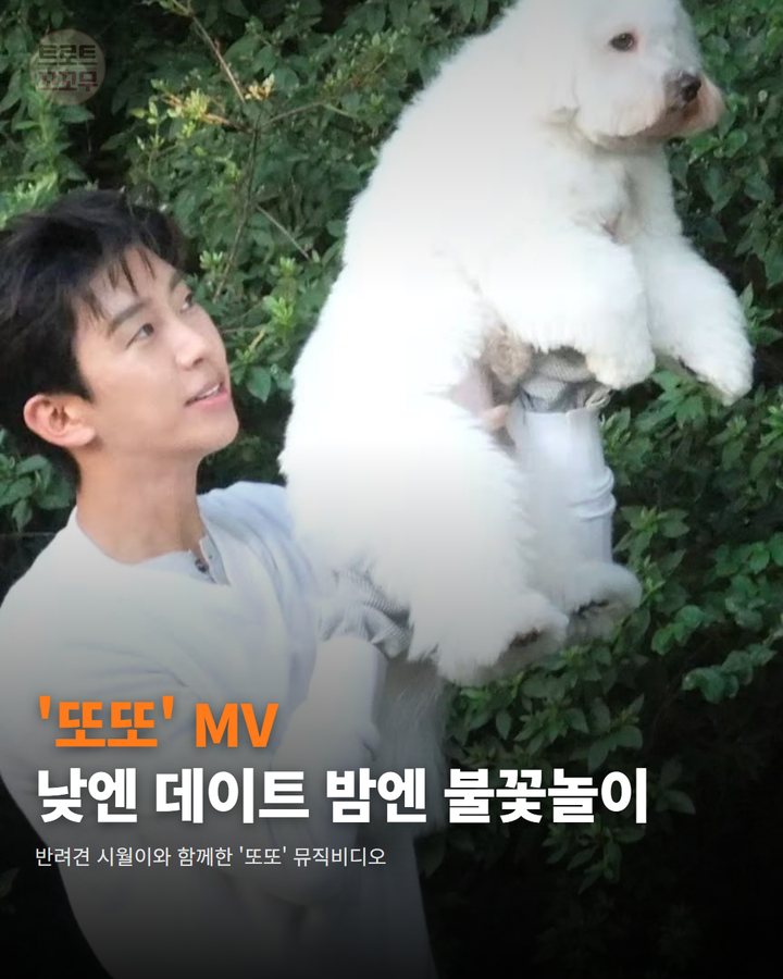 임영웅 '또또' MV, 낮엔 시월이랑 데이트 밤엔 불꽃놀이 카드뉴스 표지
